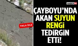 Çayboyu’nda Akan Suyun Rengi Tedirgin Etti!