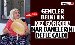 Gençler Belki İlk Kez Görecek! Nar Danelerini Defle Çaldı