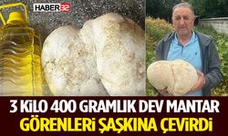 3 Kilo 400 Gramlık Dev Mantar Görenleri Şaşkına Çevirdi