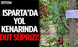 Isparta’da Yol Kenarında Dut Süprizi!