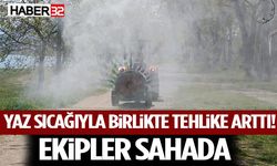 Yaz Sıcağıyla Birlikte Tehlike Arttı! Ekipler Sahada