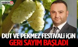 Dut ve Pekmez Festivali İçin Geri Sayım Başladı