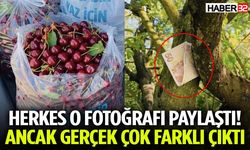 Herkes O Fotoğrafı Paylaştı! Ancak Gerçek Çok Farklı Çıktı