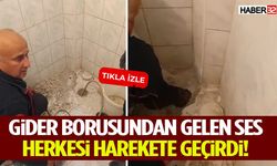 Gider Borusundan Gelen Ses Herkesi Harekete Geçirdi!