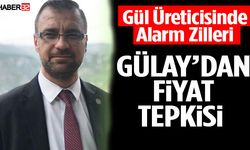 Gül Üreticisinde Alarm Zilleri! Gülay’dan Fiyat Tepkisi