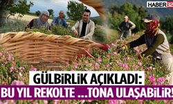 Gülbirlik Açıkladı: Bu Yıl Rekolte …… Tona Ulaşabilir!