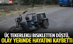 Üç Tekerlekli Bisikletten Düştü, Olay Yerinde Hayatını Kaybetti