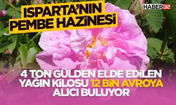 Kilosu 12 bin avroya alıcı buluyor