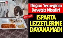 Isparta Lezzetlerine Dayanamadı!
