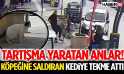 Tartışma Yaratan Anlar! Köpeğine Saldıran Kediye Tekme Attı