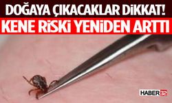 Doğaya Çıkacaklar Dikkat! Kene Riski Yeniden Arttı