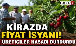 Kirazda Fiyat İsyanı! Üreticiler Hasadı Durdurdu