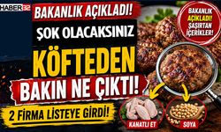 Bakanlık Açıkladı! Köfteden Çıkan İçerikler Şaşırttı