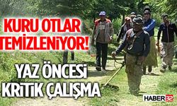 Kuru Otlar Temizleniyor! Yaz Öncesi Kritik Çalışma