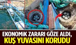 Ekonomik Zararı Göze Aldı, Kuş Yuvasını Korudu