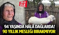 94 Yaşında Hâlâ Dağlarda! 90 Yıllık Mesleği Bırakmıyor