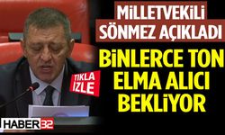 Milletvekili Sönmez Açıkladı: Binlerce Ton Elma Alıcı Bekliyor