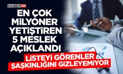En Çok Milyoner Yetiştiren 5 Meslek Açıklandı