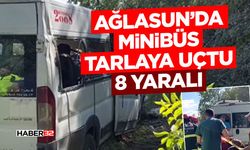 Burdur'da minibüs tarlaya uçtu: 8 yaralı