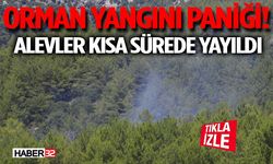 Orman Yangını Paniği! Alevler Kısa Sürede Yayıldı