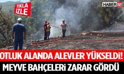 Otluk Alanda Alevler Yükseldi! Meyve Bahçeleri Zarar Gördü