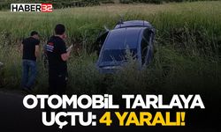 Şarkikaraağaç’ta Otomobil Tarlaya Uçtu: 4 Yaralı!