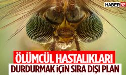 Ölümcül Hastalıkları Durdurmak İçin Sıra Dışı Plan