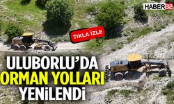 Uluborlu’da Orman Yolları Yenilendi