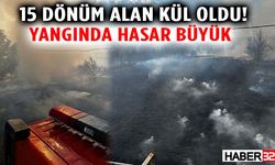 15 Dönüm Alan Kül Oldu! Yangında Hasar Büyük