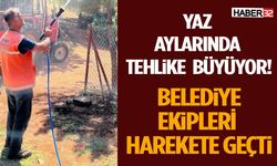 Yaz Aylarında Tehlike Büyüyor! Belediye Ekipleri Harekete Geçti