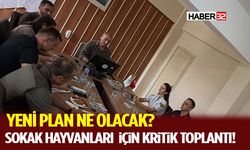 Sokak Hayvanları İçin Kritik Toplantı! Yeni Plan Ne Olacak?