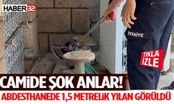 Camide Şok Anlar! Abdesthanede 1,5 Metrelik Yılan Görüldü
