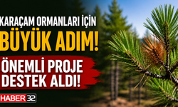 ISUBÜ’lü Akademisyenin ‘Karaçam Ormanlarını Koruyacak Proje’sine TÜBİTAK Desteği!
