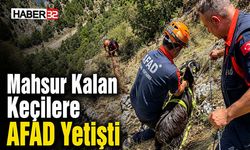 Mahsur Kalan Keçilere AFAD Yetişti