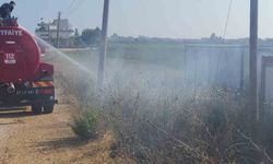 Manavgat'ta ot yangını korkuttu