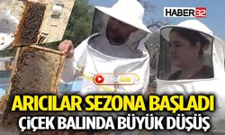 Arıcılar Sezona Başladı: Çiçek Balında Büyük Düşüş