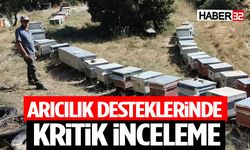 Arıcılık Desteklerinde Kritik İnceleme