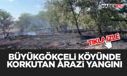 Büyük Gökçeli Köyünde Korkutan Arazi Yangını