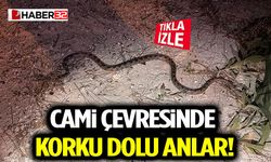 Cami Çevresinde Korku Dolu Anlar!