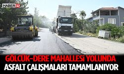 Gölcük-Dere Mahallesi yolunda asfalt çalışmaları tamamlanıyor