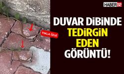 Zincir Marketin Yanında Tedirgin Eden Görüntü