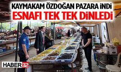 Kaymakam Özdoğan Pazara İndi, Esnafı Tek Tek Dinledi