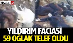 Yıldırım Faciası: 59 Oğlak Telef Oldu