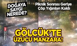 Gölcük’te Üzücü Manzara! Doğaya Saygı Nerede?