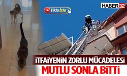 İtfaiyenin Zorlu Mücadelesi Mutlu Sonla Bitti
