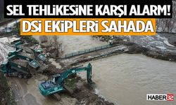 Sel Tehlikesine Karşı Alarm! DSİ Ekipleri Sahada
