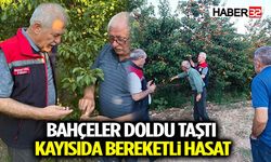 Bahçeler Doldu Taştı: Kayısıda Bereketli Hasat