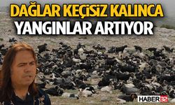 Dağlar Keçisiz Kalınca Yangınlar Artıyor