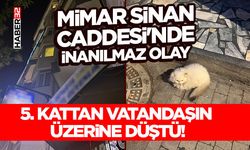 5. Kattan Vatandaşın Üzerine Düştü!