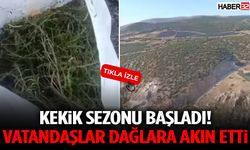 Kekik Sezonu Başladı! Vatandaşlar Dağlara Akın Etti